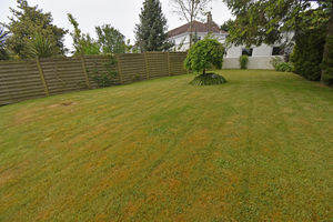 Garden- click for photo gallery
